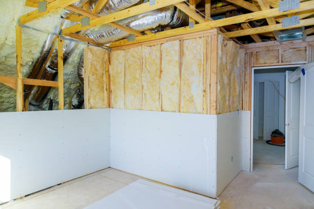 Best Eco-Friendly Insulation in Florence, SC