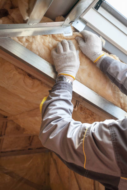 Best Blown-in Insulation in Florence, SC