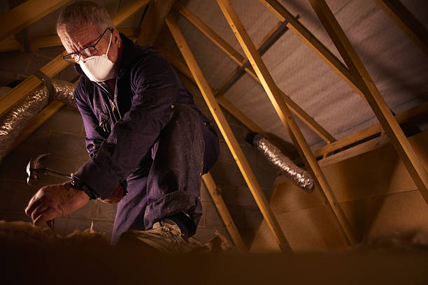 Best Geographic-Specific Insulation Services in Florence, SC